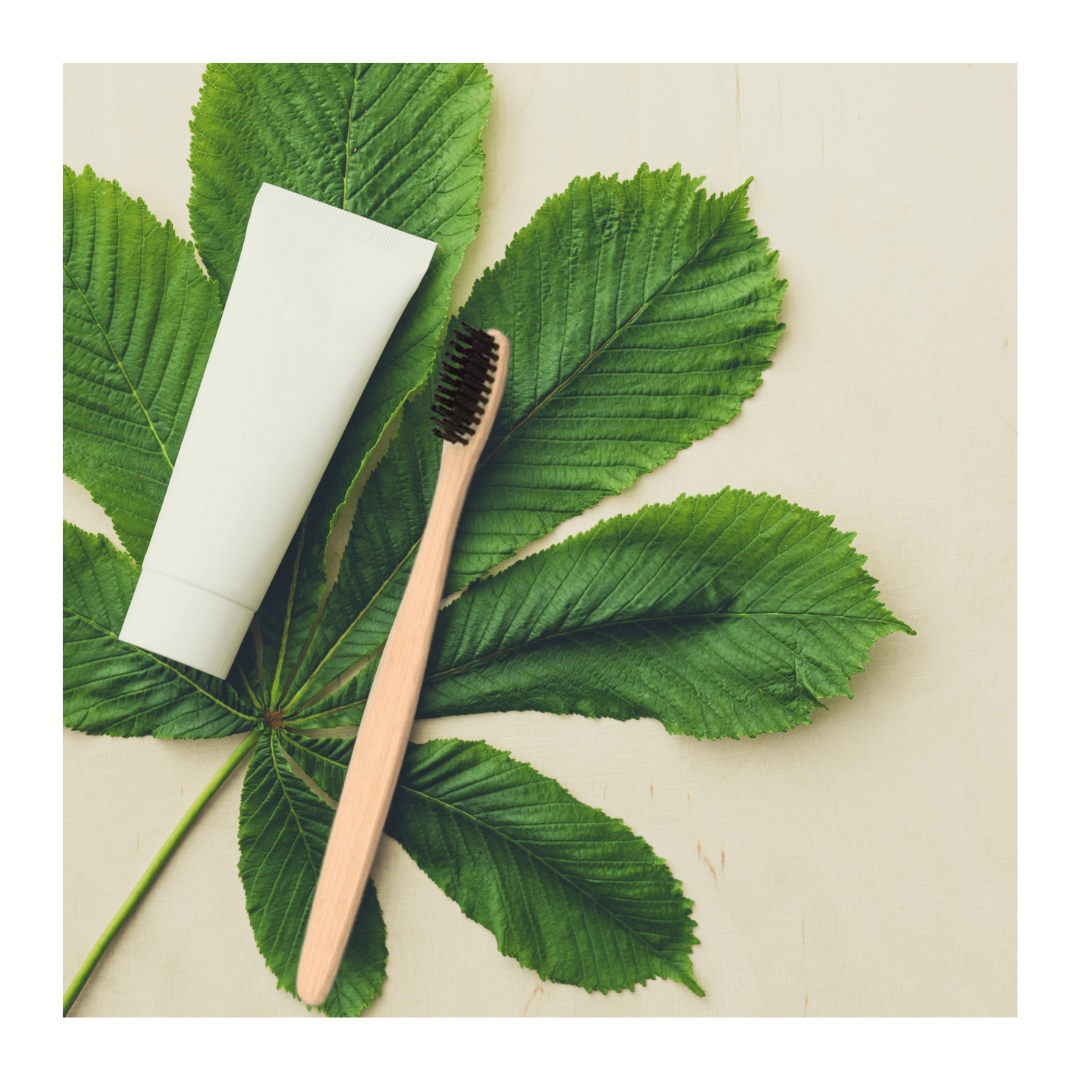 Enactus Toothbrush