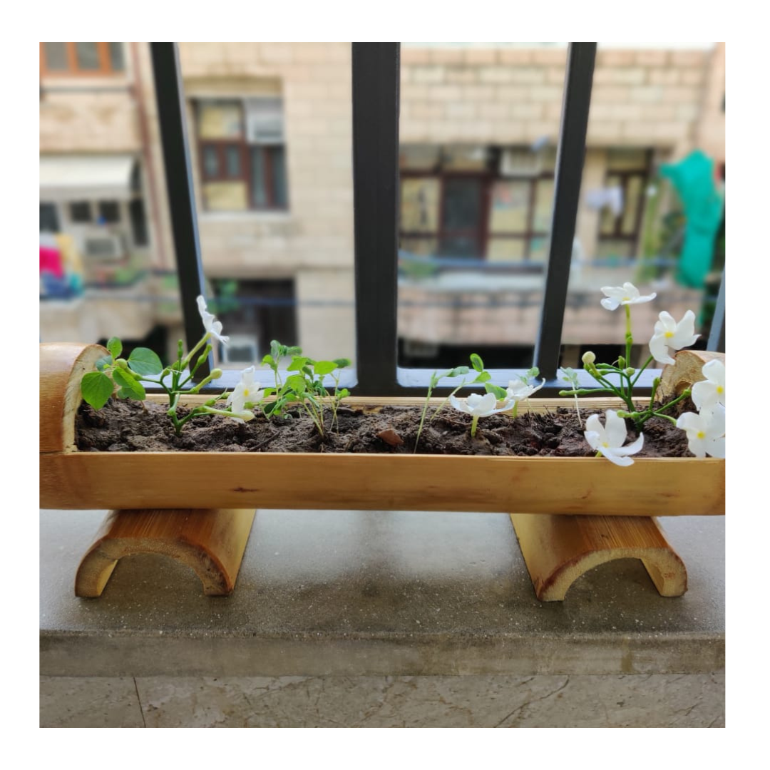 Enactus Flowerpot